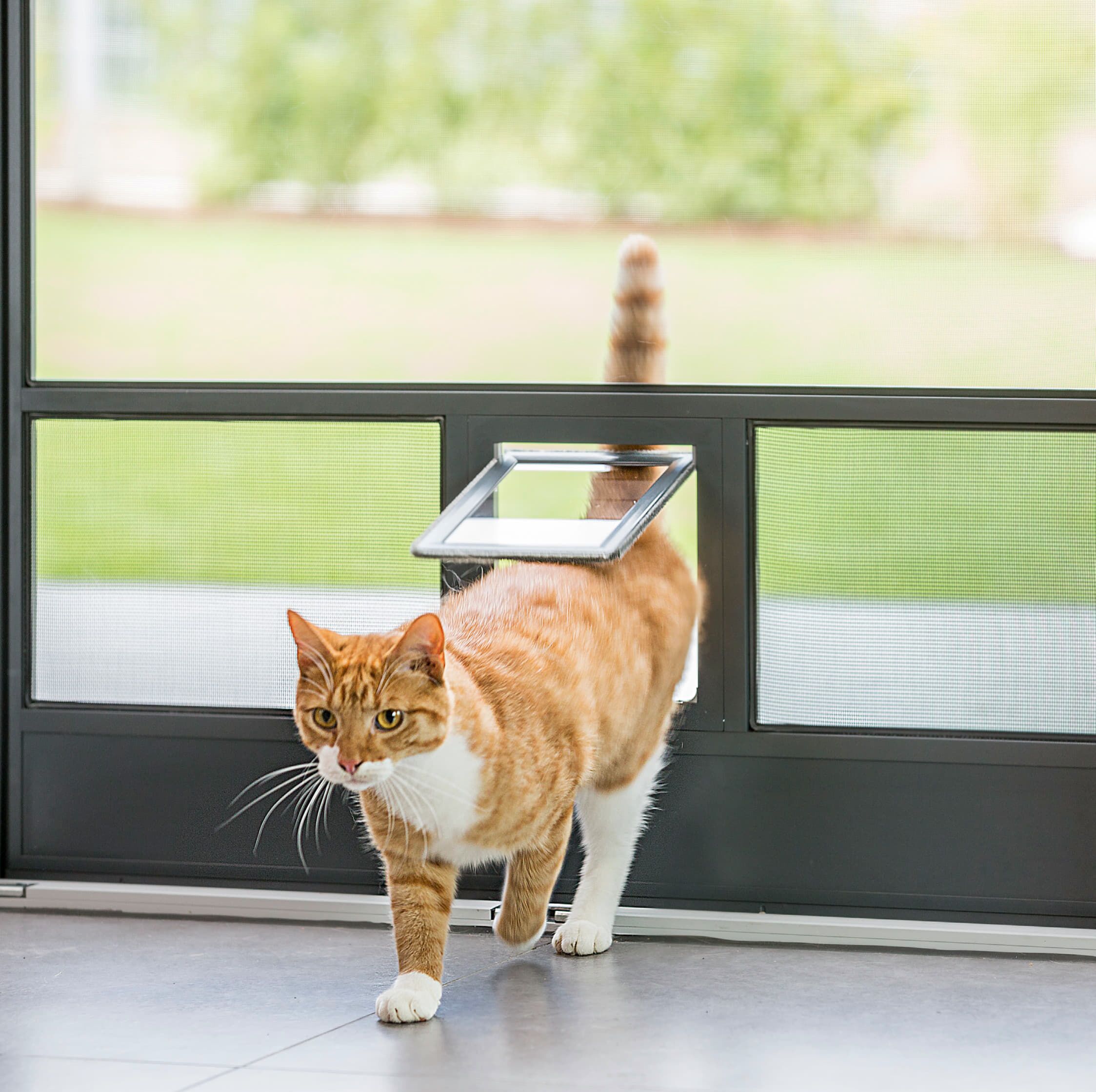 Insektenschutzgitter am Fenster für Schutz vor Mücken und Insekten